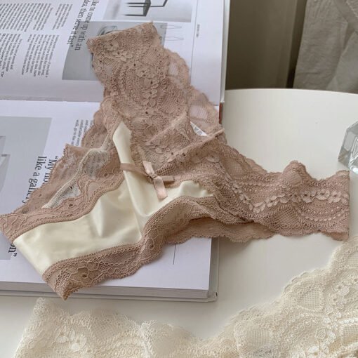 Vapetix L80-110-XL110-130  French Style Pure Sexy Lace Girls' Underwear Women's V-shaped Light Satin Ice Silk Cotton Crotch Su - Pilt 6